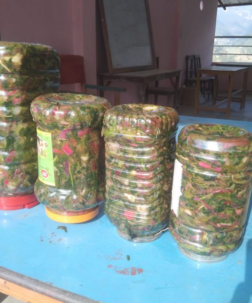 प्रयोगात्मक अभ्यास अन्तरगत विद्यालयमा गुन्द्रुक बनाइयो