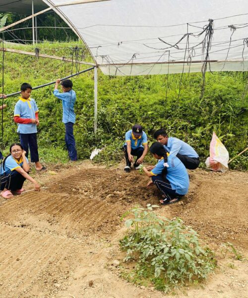 प्राविधिक धार कक्षा ९ र १० का विद्यार्थीहरूलाई प्रयोगात्मक अभ्यासमा सयपत्री, बन्दा गोपीको बेर्ना सार्ने र कुरिलोको नर्सरी राखियो।